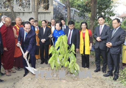 Ảnh: Chủ tịch nước Trần Đại Quang trồng cây lưu niệm tại Việt Nam Phật quốc Tự, Bodhgaya, Ấn Độ<br>(Nguồn: Thông tấn xã Việt Nam) 